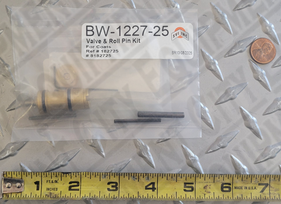 BW-1227-25 SVI Valve and Roll Pin Kit